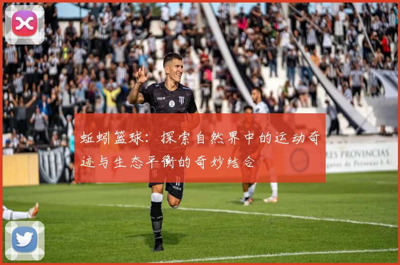 蚯蚓篮球：探索自然界中的运动奇迹与生态平衡的奇妙结合