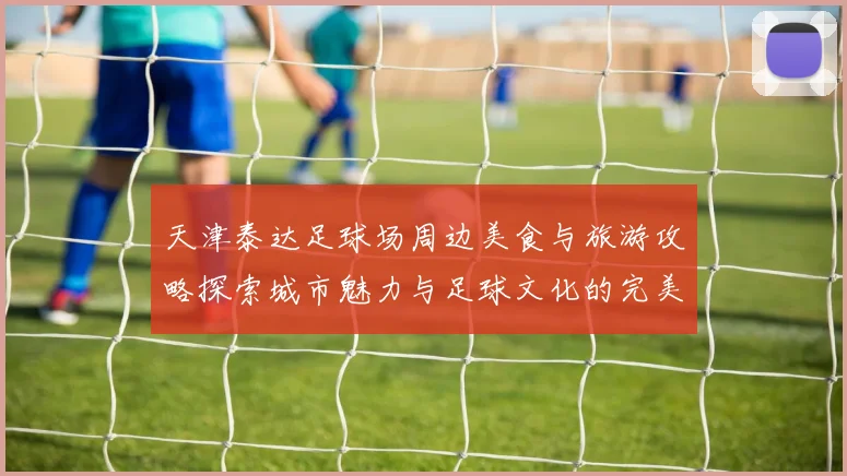 天津泰达足球场周边美食与旅游攻略探索城市魅力与足球文化的完美结合