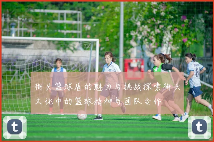 街头篮球盾的魅力与挑战探索街头文化中的篮球精神与团队合作