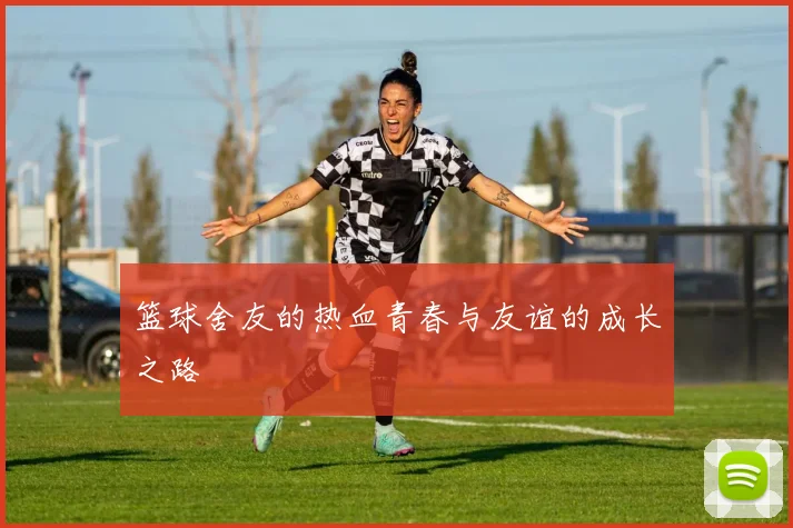 篮球舍友的热血青春与友谊的成长之路