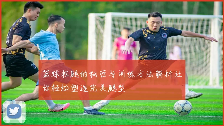 篮球粗腿的秘密与训练方法解析让你轻松塑造完美腿型