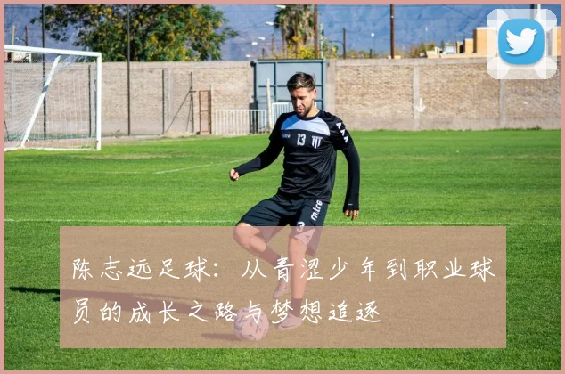 陈志远足球：从青涩少年到职业球员的成长之路与梦想追逐